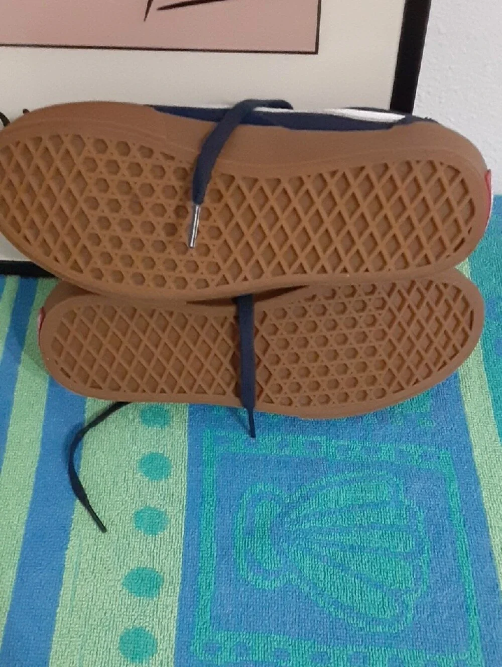 Vans low top